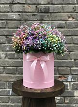 Цветочная композиция из Гипсофила и Розы в шляпной коробке в Супсех