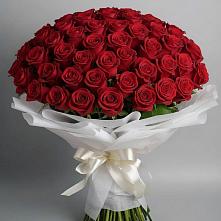 Букет 101 Красная роза Блэк Мэджик в Супсех