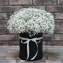 Цветочная композиция из Гипсофила в шляпной коробке в Супсех