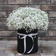 Цветочная композиция из Гипсофила в шляпной коробке в Супсех