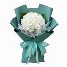 Букет цветов из:  Гортензия в Супсех